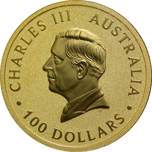 Australian Gold Kangaroo